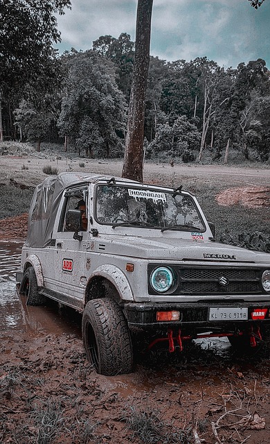 期待中国足 期待中国足