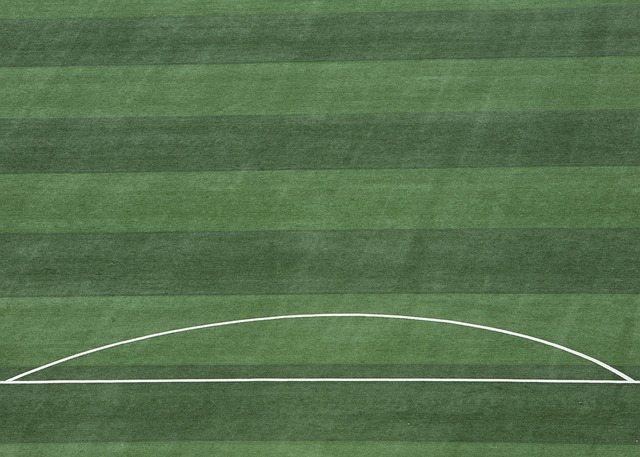 竞争激烈 竞争激烈