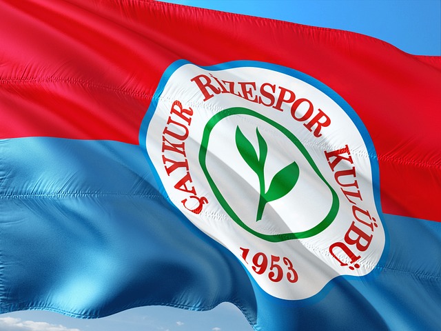 在足球世界 在足球世界