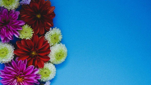 意甲联赛 意甲联赛